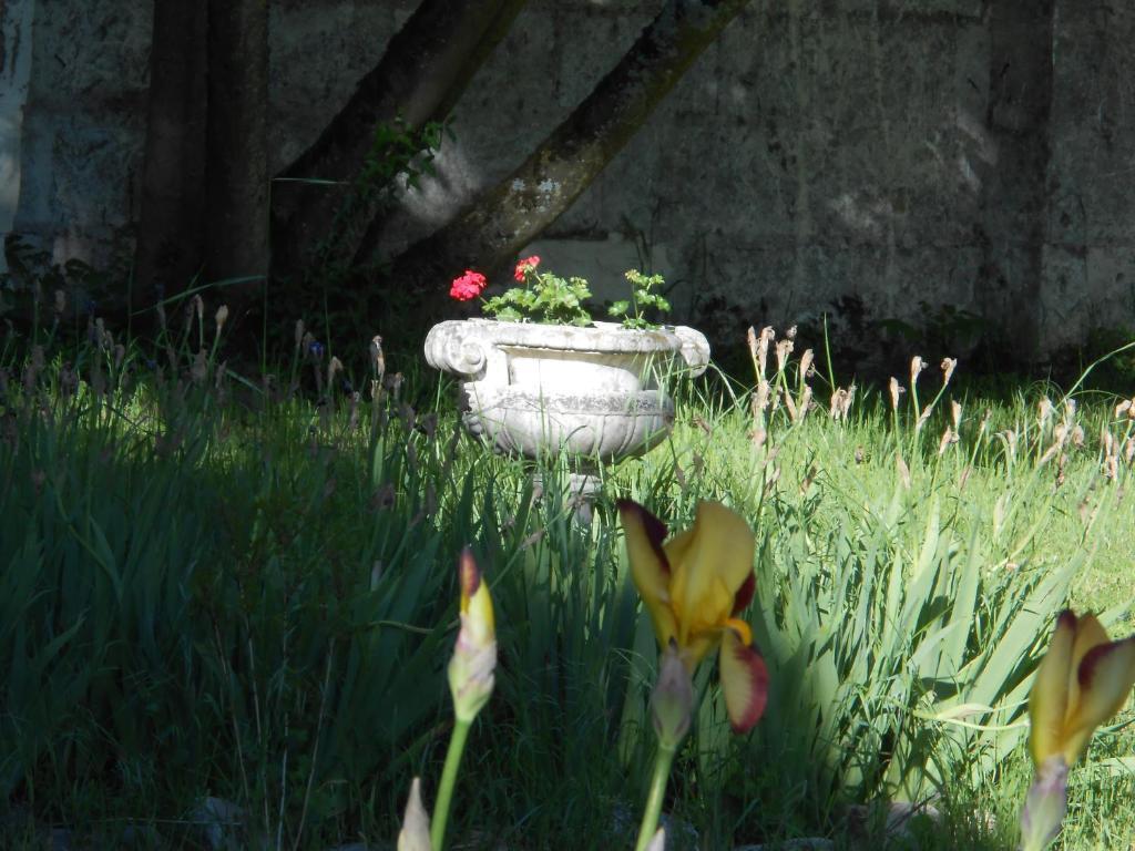 Clos Du Bois Brard B&B โซมูร์ ภายนอก รูปภาพ