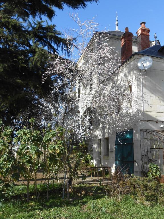Clos Du Bois Brard B&B โซมูร์ ภายนอก รูปภาพ