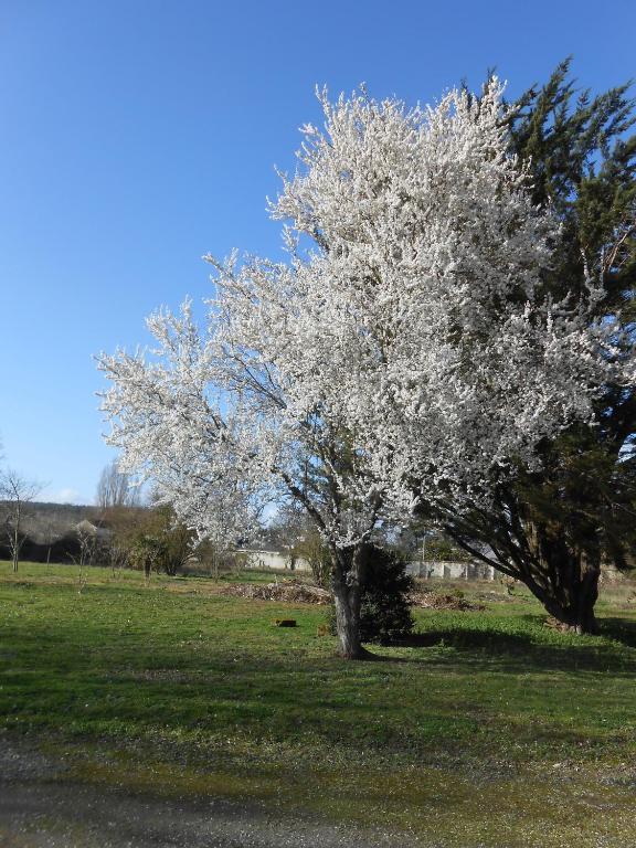 Clos Du Bois Brard B&B โซมูร์ ภายนอก รูปภาพ